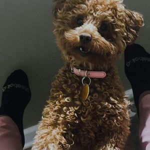 Meet your Posher, Shawn